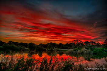 Morning Glow - image gratuit #376979